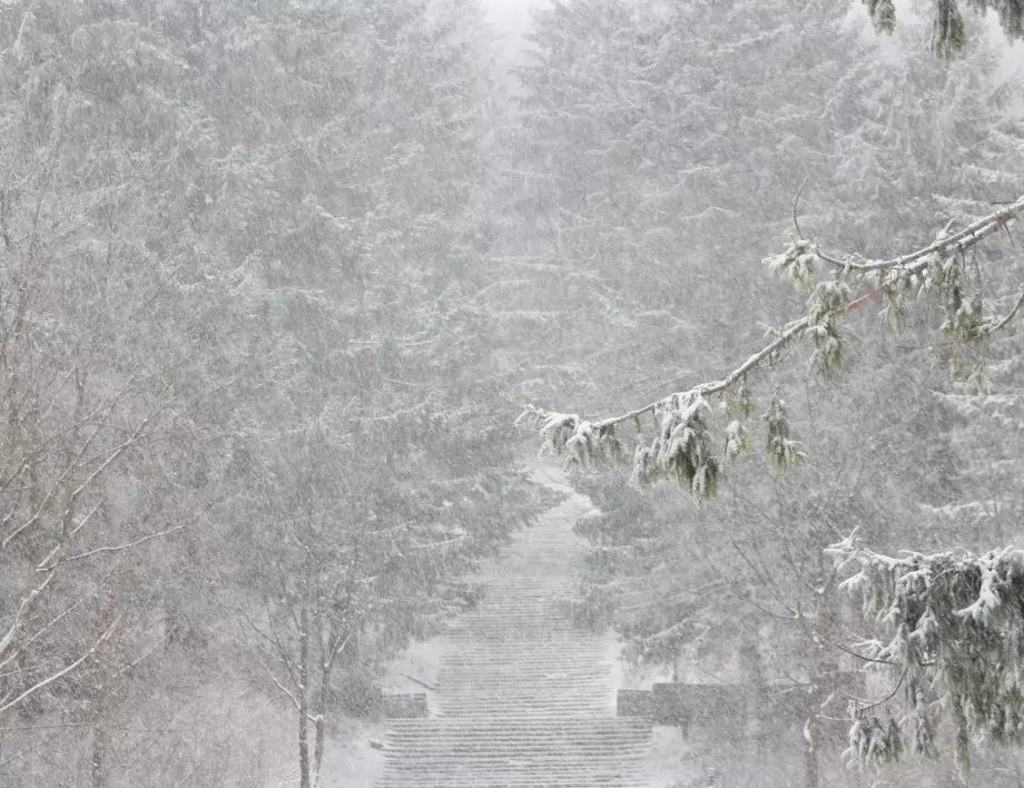 Снежна буря връхлетя североизточните части на САЩ