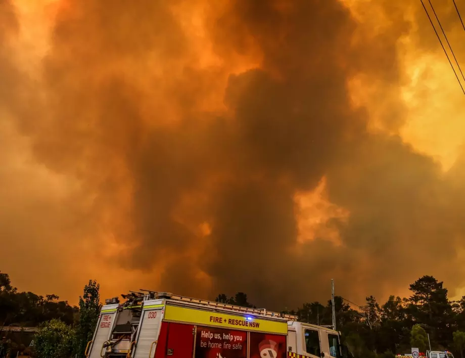 Пожарите по западното крайбрежие на САЩ - трагедия с много последици