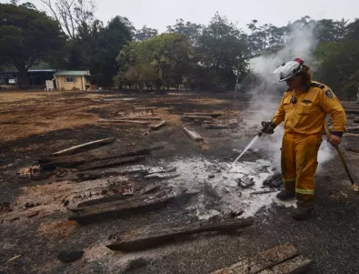 Австралия отделя десетки милиони за възстановяване на природата след пожарите 