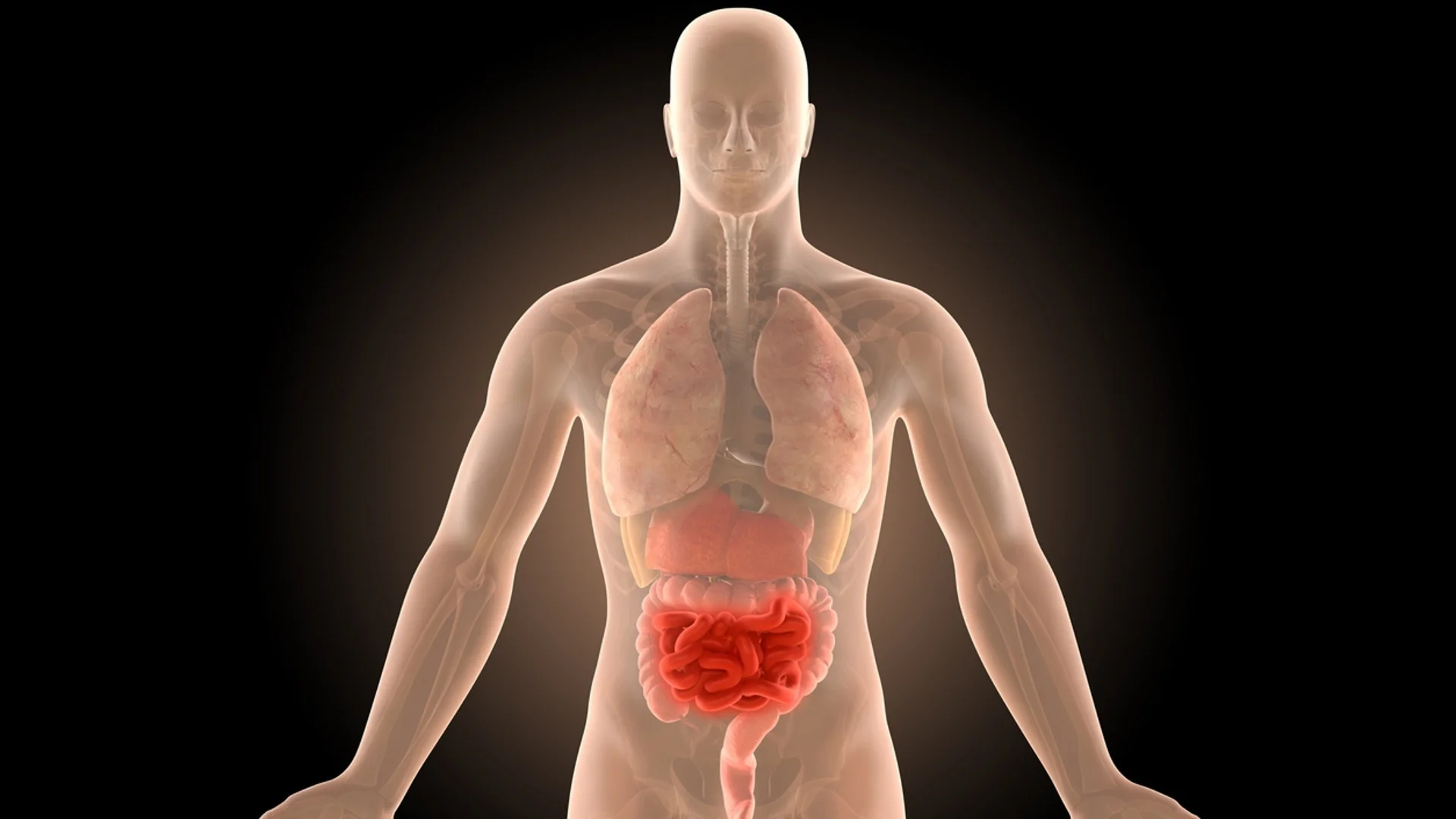 Лекар: 5 фактора, които са пагубни за здравето на дебелото черво
