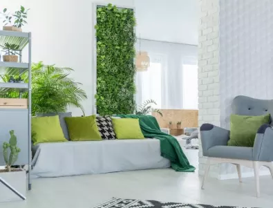 Как ефективно да подредите растенията в апартамент: 5 идеи от дизайнери