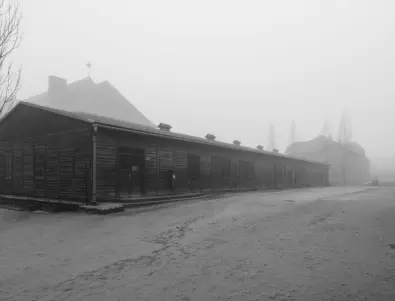 Да избягаш втори път от ада: оцелели при Холокоста се евакуират от Украйна в Германия