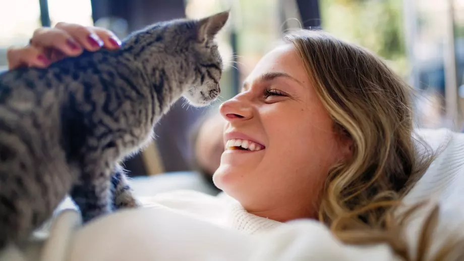 Защото котката ви ляга върху вас и как ви помага това?