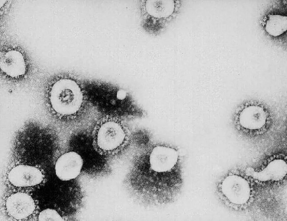Патенти за коронавирус – има, но не и за този, който сега мъчи света