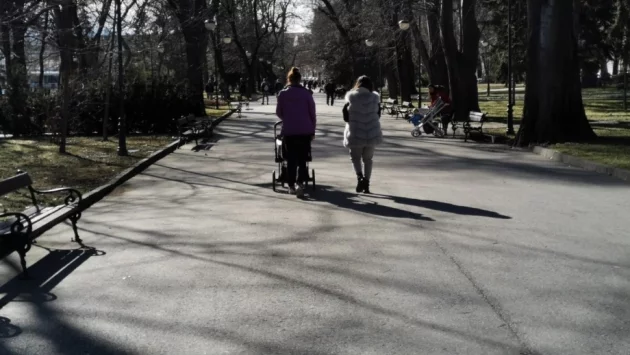 Поголовни глоби за превозвачи и граждани в Пловдив