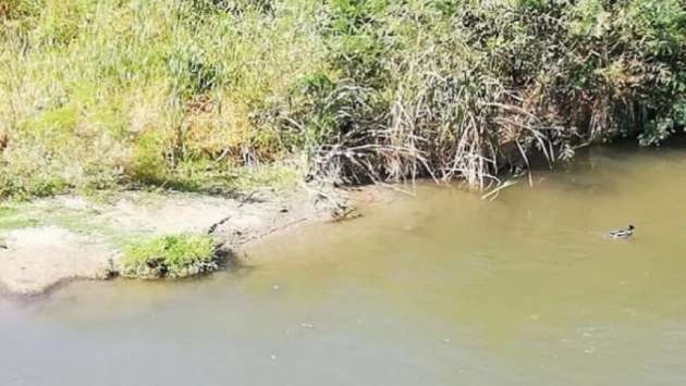 Отнемат разрешителното за заустване на отпадни води на мандра в Маноле