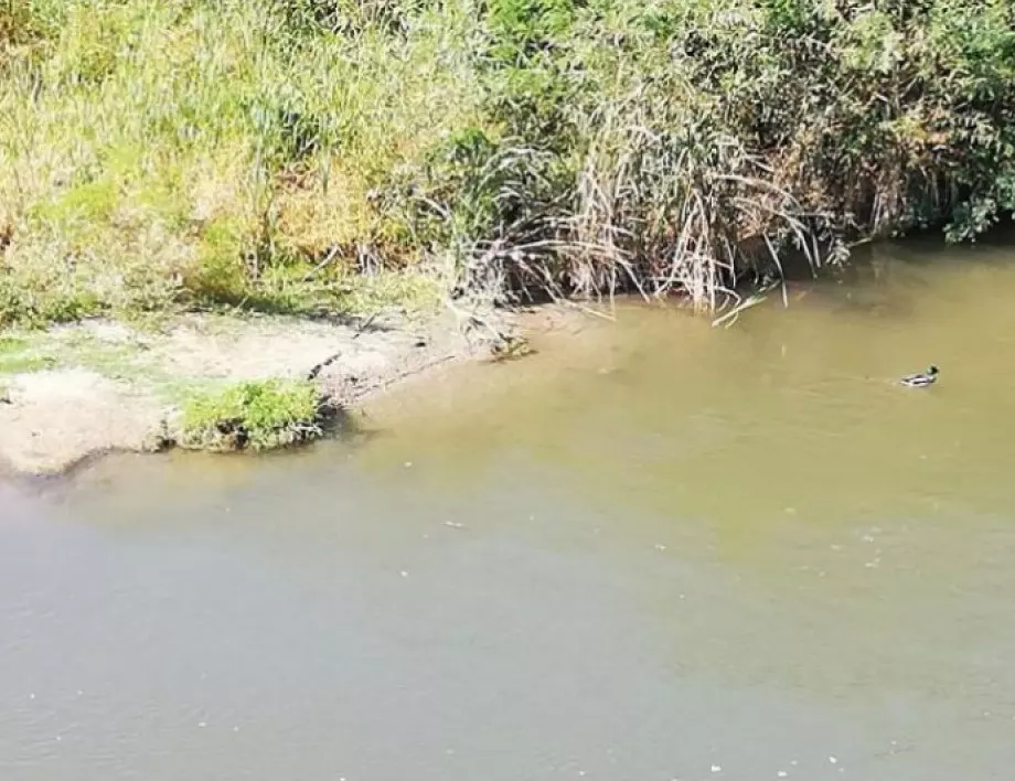 Отнемат разрешителното за заустване на отпадни води на мандра в Маноле