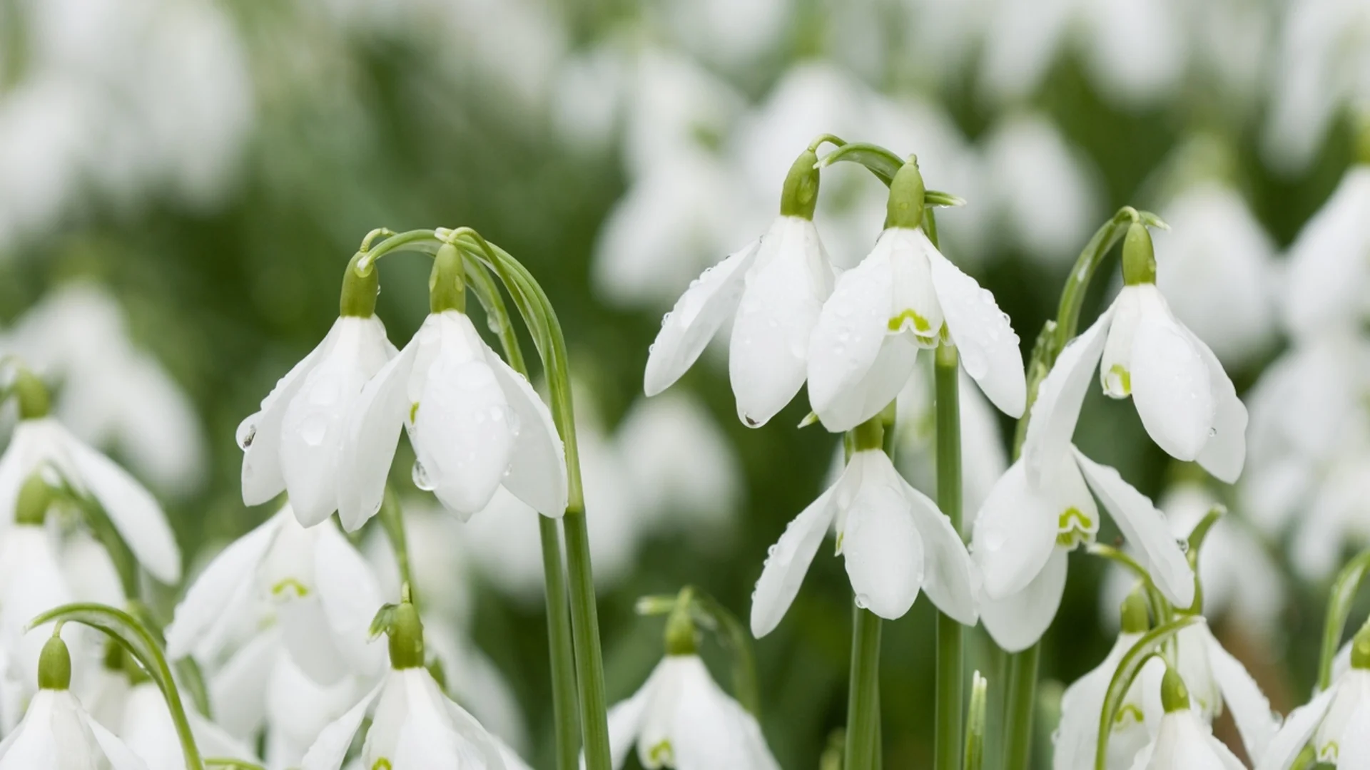 Прогноза за времето - 10 февруари 2024 г. (събота)