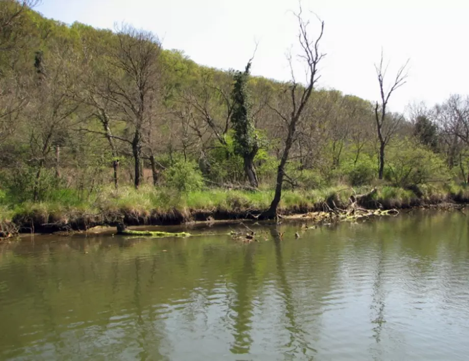 РИОСВ към кметовете в Бургаско – погрижете се за нерегламентираните сметища и непочистените реки