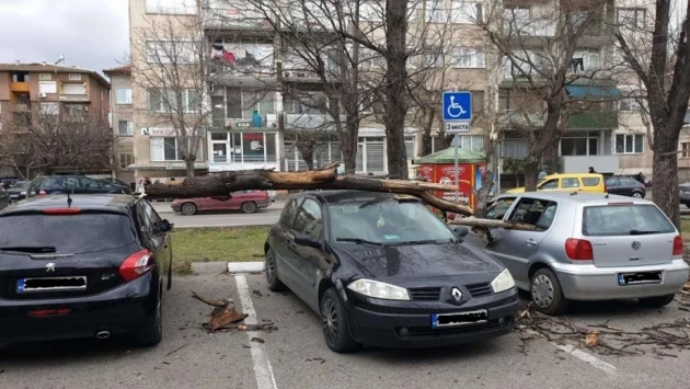 Силният вятър причини щети по автомобили в Асеновград