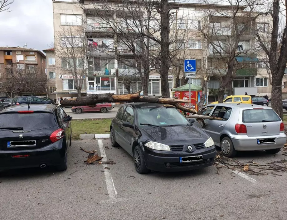 Силният вятър причини щети по автомобили в Асеновград
