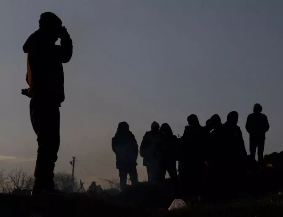 Престрелка между мигранти на сръбско-унгарската граница