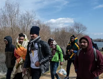 Европол разби група за трафик на мигранти през България и Румъния