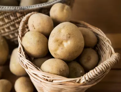 Очаква ви изобилие от картофи в градината: Условия при засаждане