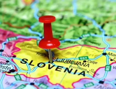 Птичи грип в Словения, страната обявена за рискова 