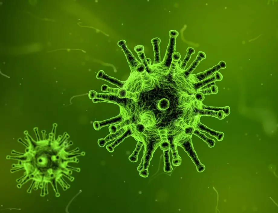 12-те най-смъртоносни вируса в историята