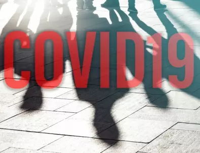 Общ хъб почва да събира научна информация за коронавируса COVID-19