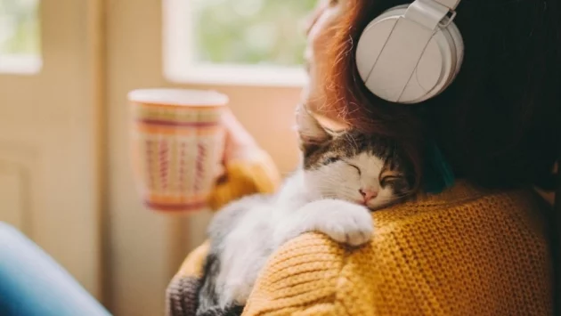 Ето защо котките мъркат