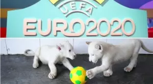 Шестте отбора, за които отлагането на Евро 2020 ще е полезно