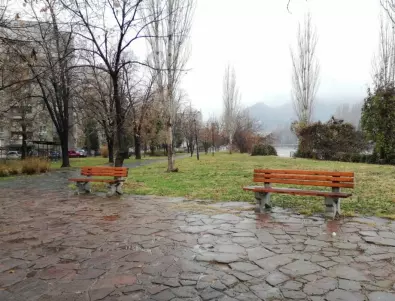 Засаждат 100 дървета в Асеновград