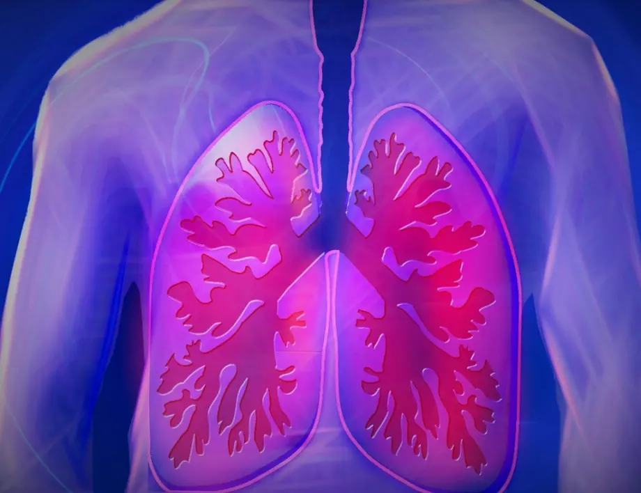 Вредна ли е рентгеновата снимка на белите дробове?