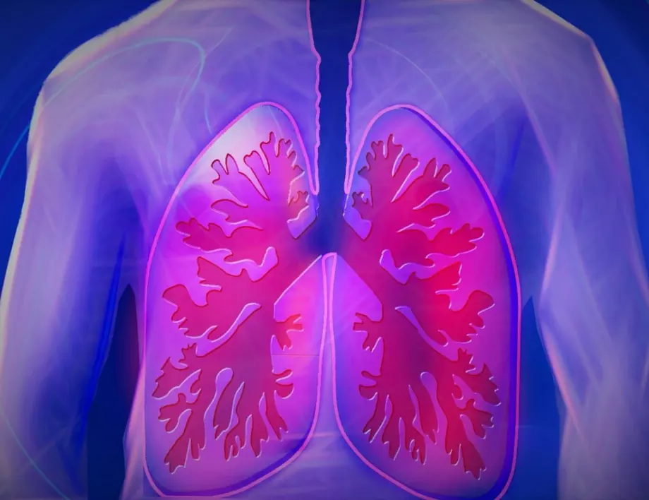 Ето как да пречистим белите дробове от цигарения дим и мръсния въздух