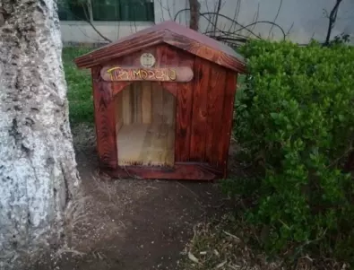 В Приморско поставиха къщички за бездомни кучета