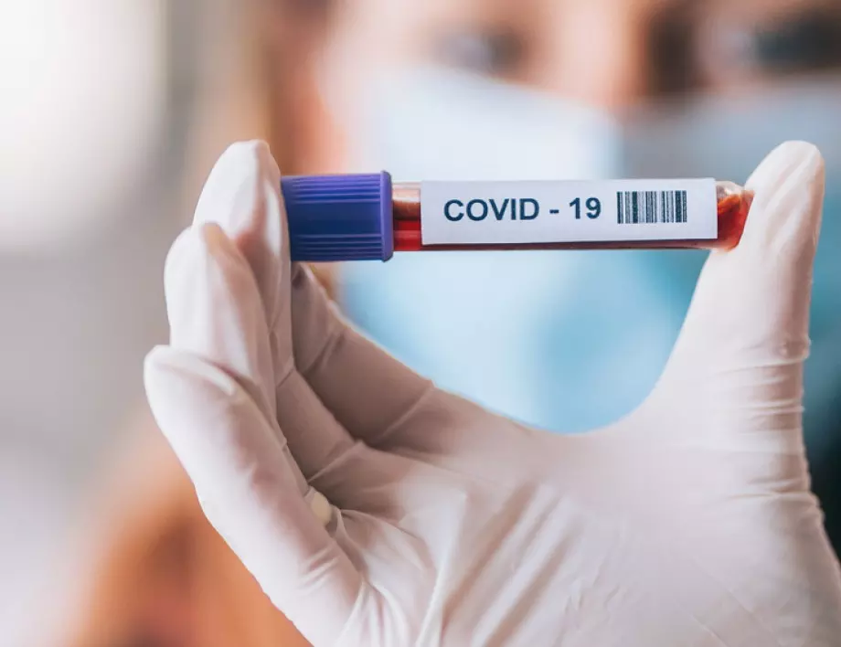 Германия със сертификати за имунитет срещу коронавирус?