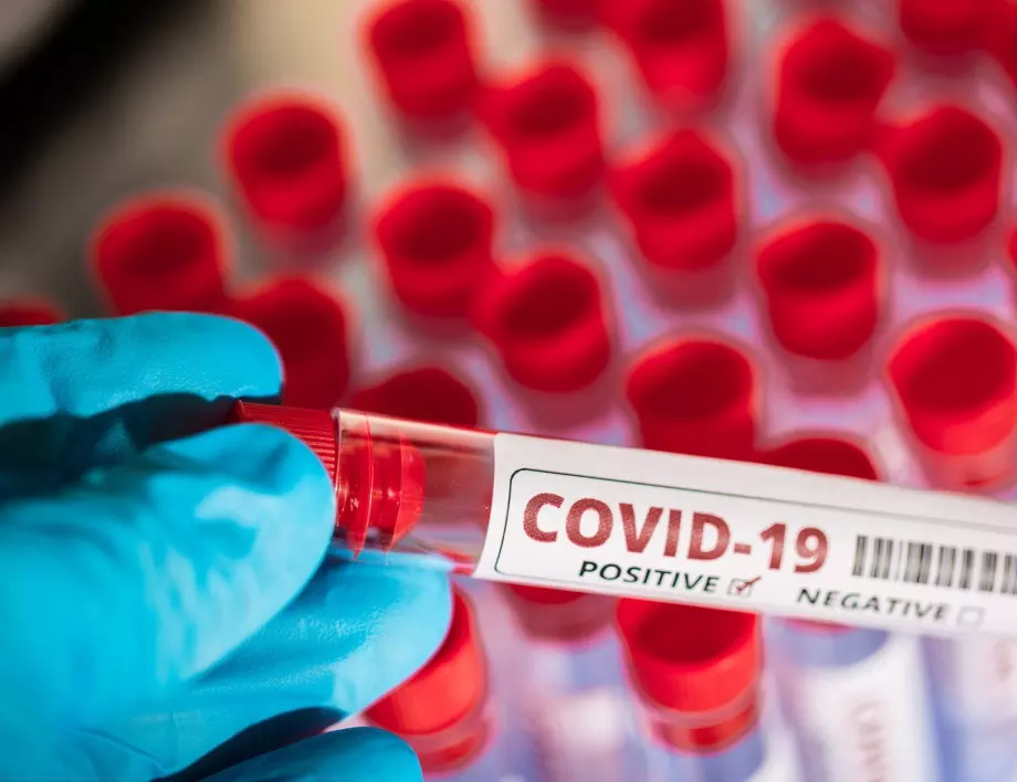СЗО: Рано е Европа да разхлабва мерките срещу коронавируса