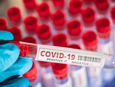 21 души са излекувани от COVID-19 за последното денонощие