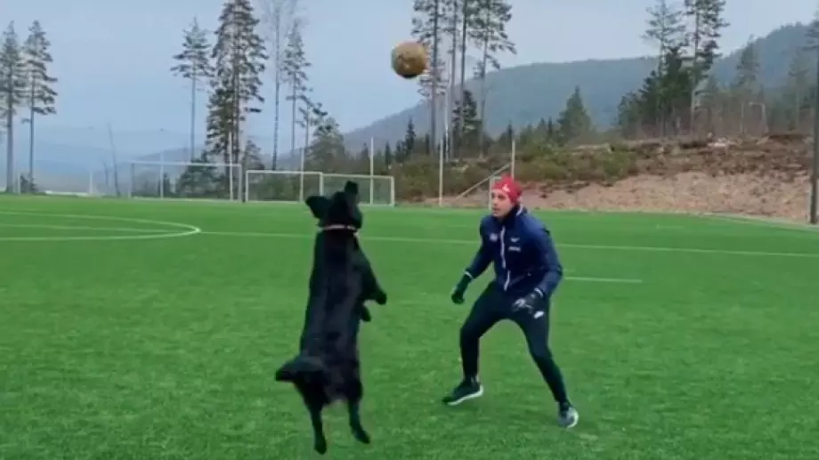 ВИДЕО: Норвежец научи кучето си на волейбол и вече играят заедно