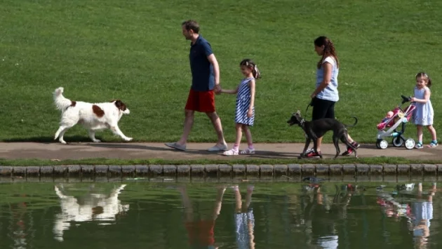 Стъпките на Испания към смекчаване на ограничителните мерки 