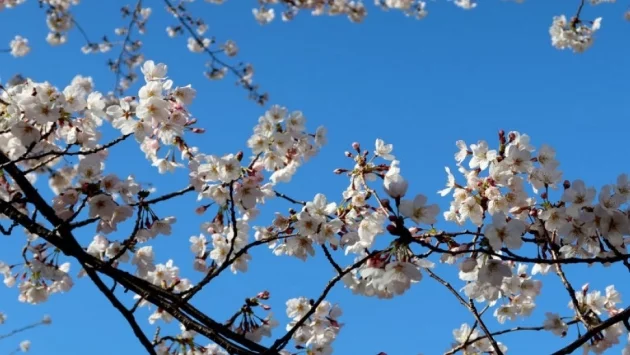 Какво ще е времето през празничните дни? 