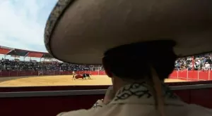 8 любопитни факта за коридата