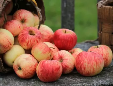 Макар и полезни като цяло, ябълките може да причинят здравни проблеми
