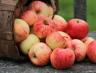 По колко ябълки дневно не са опасни за здравето ни