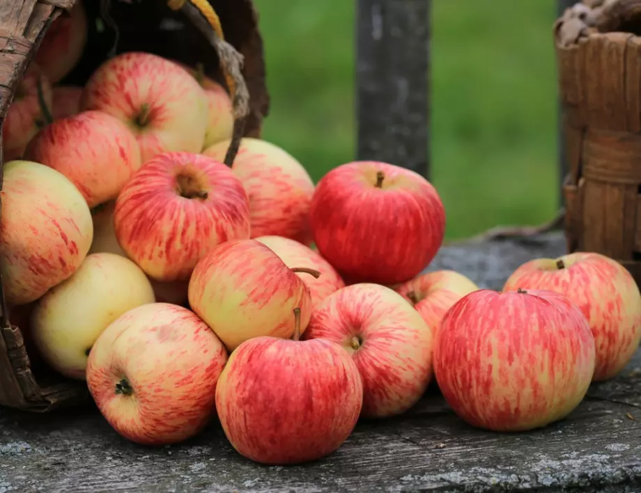 Закуска от ябълки в микровълнова - как да я приготвим? 