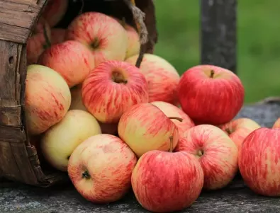 Ще се ШОКИРАТЕ като разберете защо ябълките се ядат само сутрин 