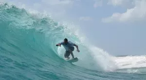 Сърфист се отърва от акула с два удара