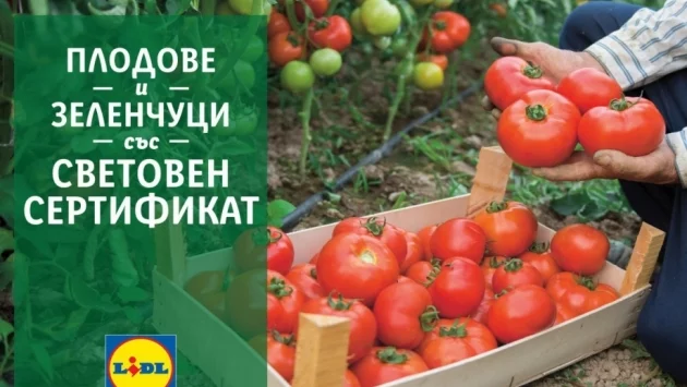 В подкрепа на родното производство Lidl предлага 100% български розови домати и био краставици в цялата верига магазини