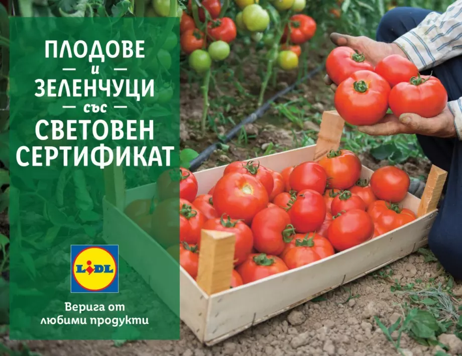 В подкрепа на родното производство Lidl предлага 100% български розови домати и био краставици в цялата верига магазини