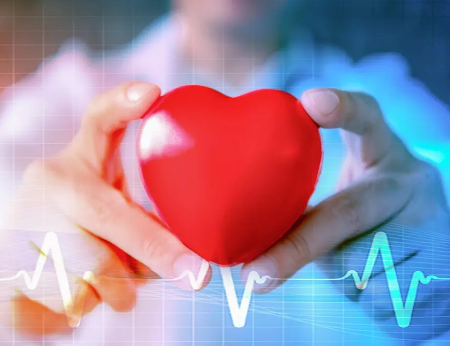 Колко са полезни аспержите за сърцето?