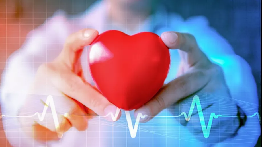 Световен ден на сърцето - 17,5 млн. души умират годишно от сърдечно-съдови заболявания