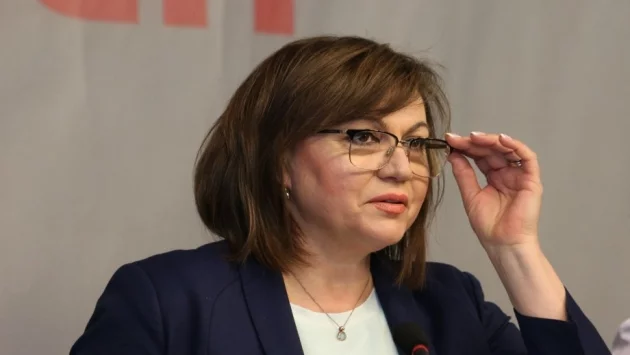 Нинова: Виновниците за избитите стада в Странджа трябва да понесат отговорност