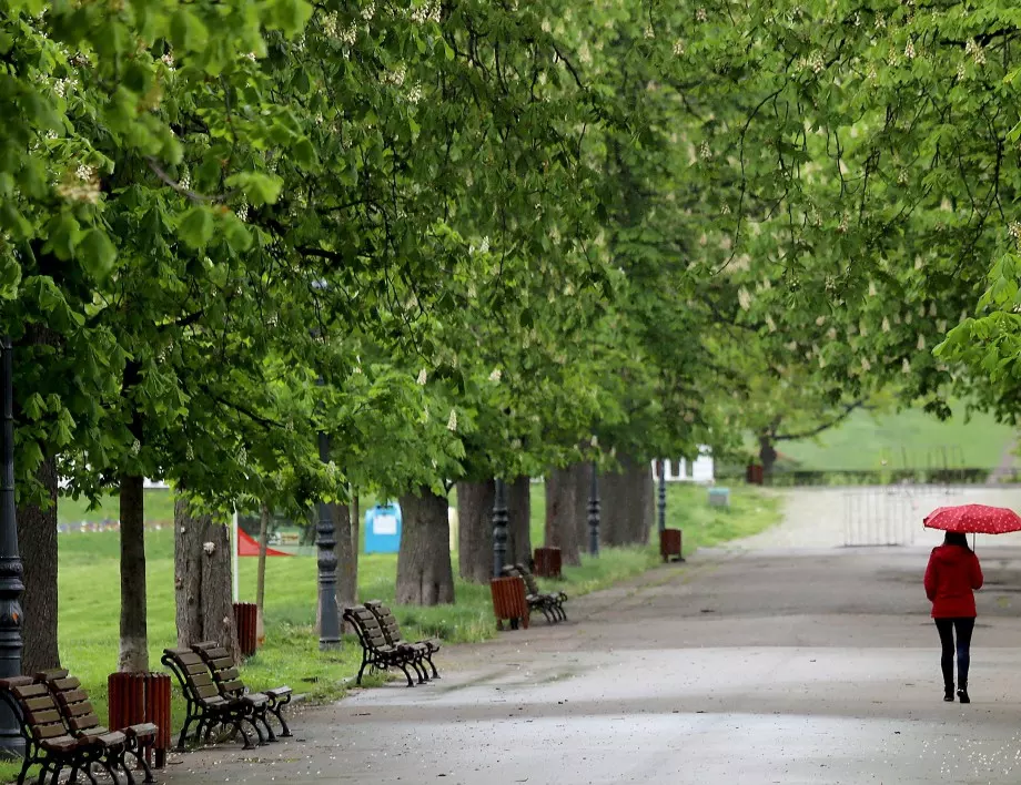 Два големи парка в София ще бъдат отворени за посещения от днес
