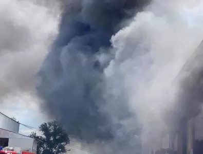 Пожари избухнаха в Пловдив, запали се и коритото на Марица 