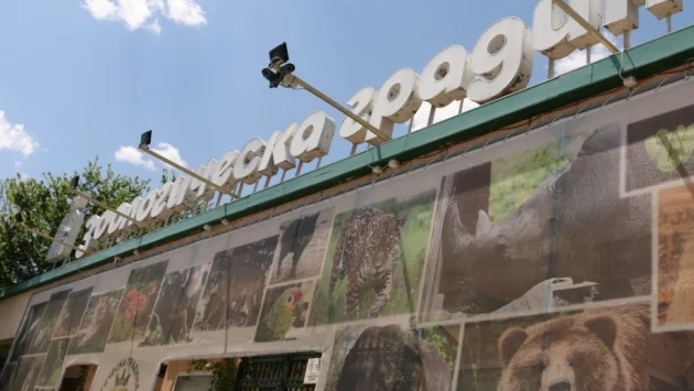 Зоологическата градина в София ще е с безплатен вход на 1 юни