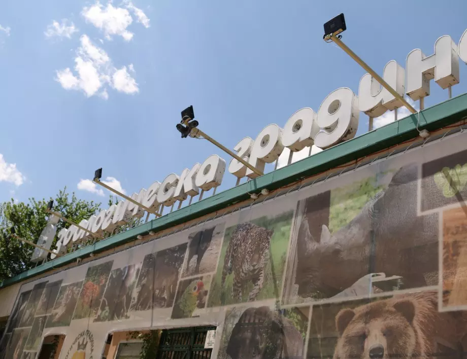 Зоологическата градина в София ще е с безплатен вход на 1 юни