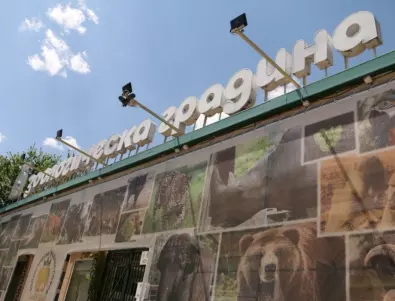 В Софийския зоопарк вече има автоматичен дефибрилатор