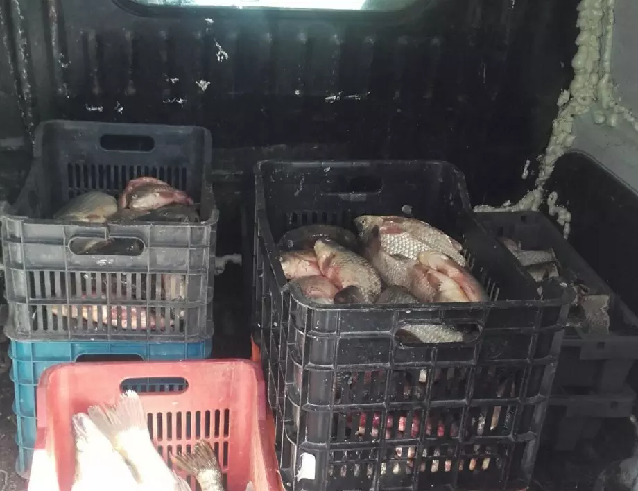 Конфискуваха 200 кг. риба в Бургас